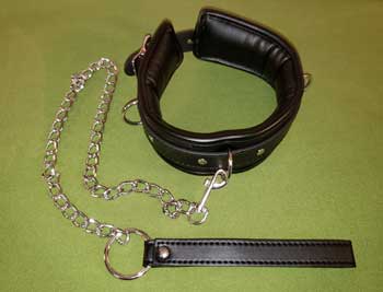 Three Ring Padded Leather Collar and Leash - $1...